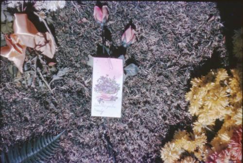 Image of flowers and a card in Dealey Plaza