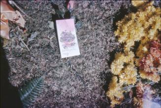 Image of flowers and a card in Dealey Plaza
