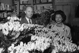 Image of Dallas florists with roses to be used to decorate the Dallas Trade Mart
