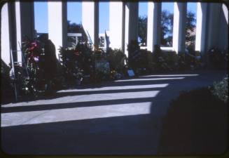 Image of flowers in Dealey Plaza on November 22, 1964