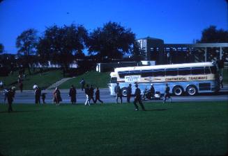 Image of bystanders in Dealey Plaza shortly after the assassination