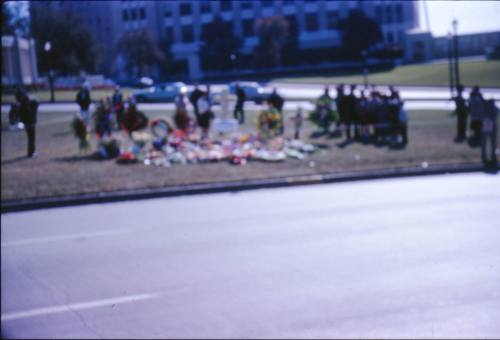 Image of crowds and flowers in Dealey Plaza