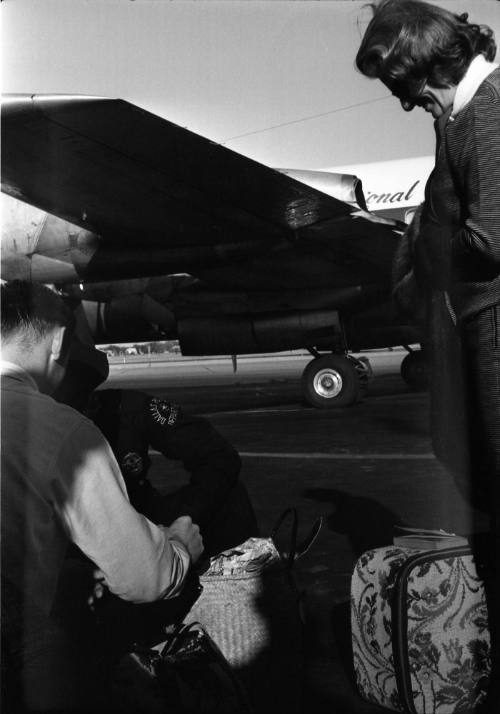 Image of an airport worker searching luggage on the tarmac at Love Field