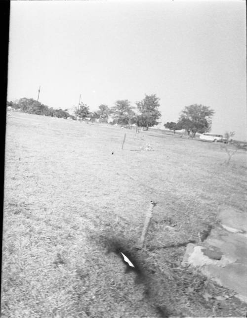 Image of Rose Hill Memorial Park in Fort Worth, Texas on November 25, 1963