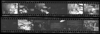 Negative Strip 37 from the Dallas Times Herald Collection