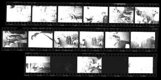 Negative Strip 43 from the Dallas Times Herald Collection