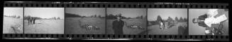 Negative Strip 52 from the Dallas Times Herald Collection