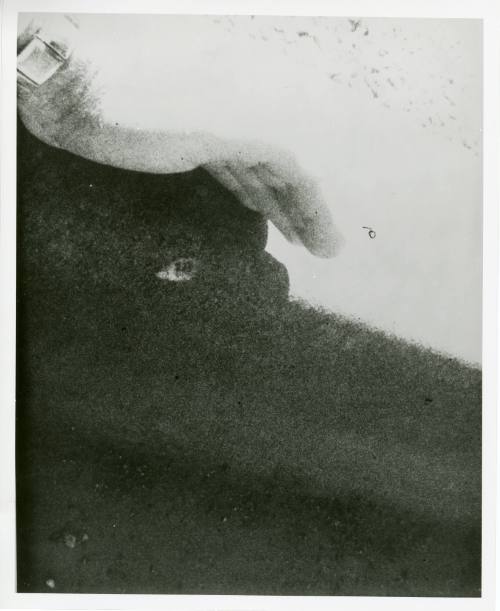 Photograph of damaged curb in Dealey Plaza