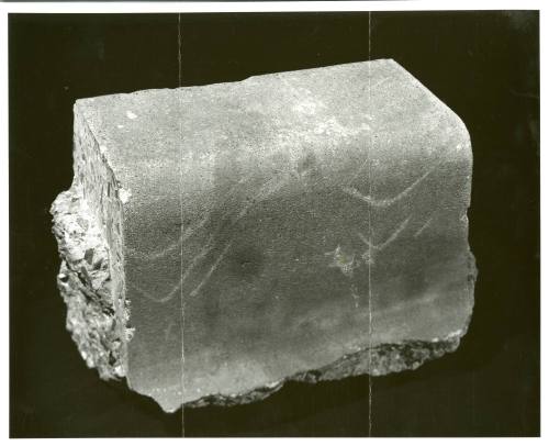 Photograph of section of curb from Dealey Plaza