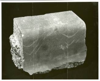 Photograph of section of curb from Dealey Plaza