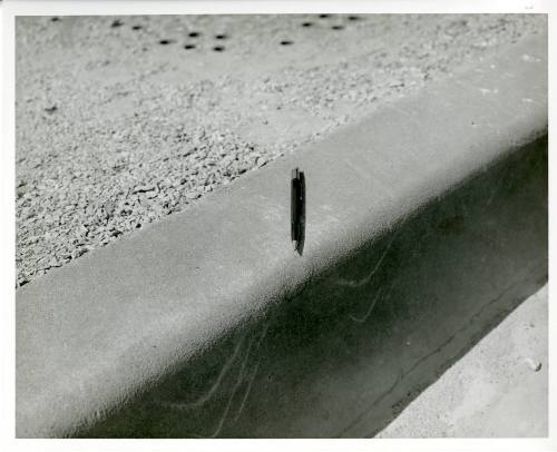 Photograph of curb on Main Street in Dealey Plaza