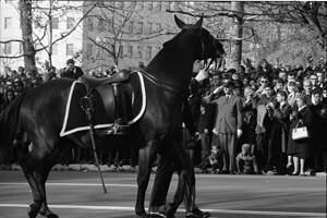 35mm b&w negative of Black Jack, the riderless horse, in the funeral cortege