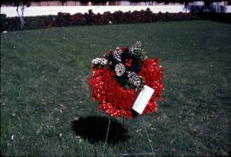 Image of memorial flowers in Dealey Plaza after the assassination