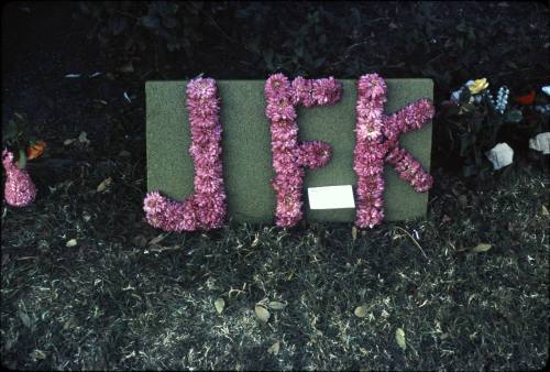 Image of memorial flowers in Dealey Plaza after the assassination