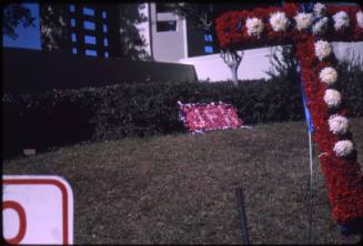 Image of floral tributes left in Dealey Plaza days after the assassination