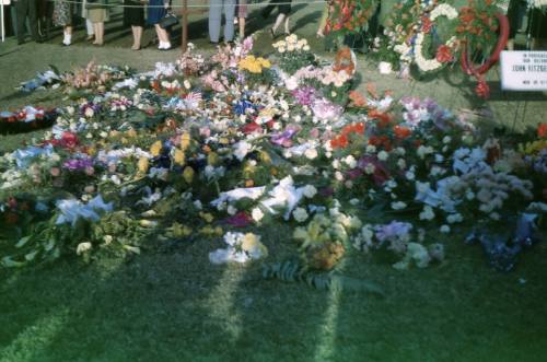 Image of flowers in Dealey Plaza after the assassination, Slide #7