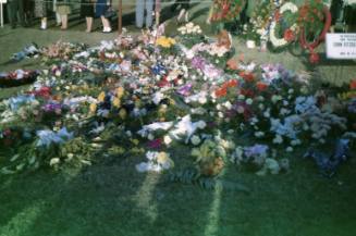 Image of flowers in Dealey Plaza after the assassination, Slide #7