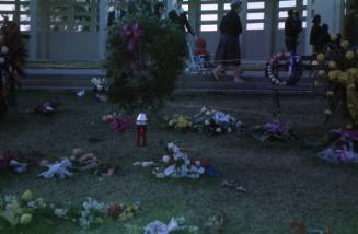 Image of floral tributes in Dealey Plaza after the assassination, Slide #17