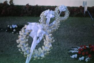 Image of floral tributes in Dealey Plaza after the assassination, Slide #21