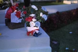 Image of floral tributes in Dealey Plaza after the assassination, Slide #33